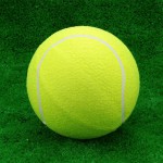 Мяч для большого тенниса самый дешёвый s-dostavka - магазин СпортДоставка. Спортивные товары интернет магазин в Воронеже 